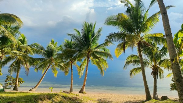 Discover captivating norfolk getaways with thrilling medieval reenactments